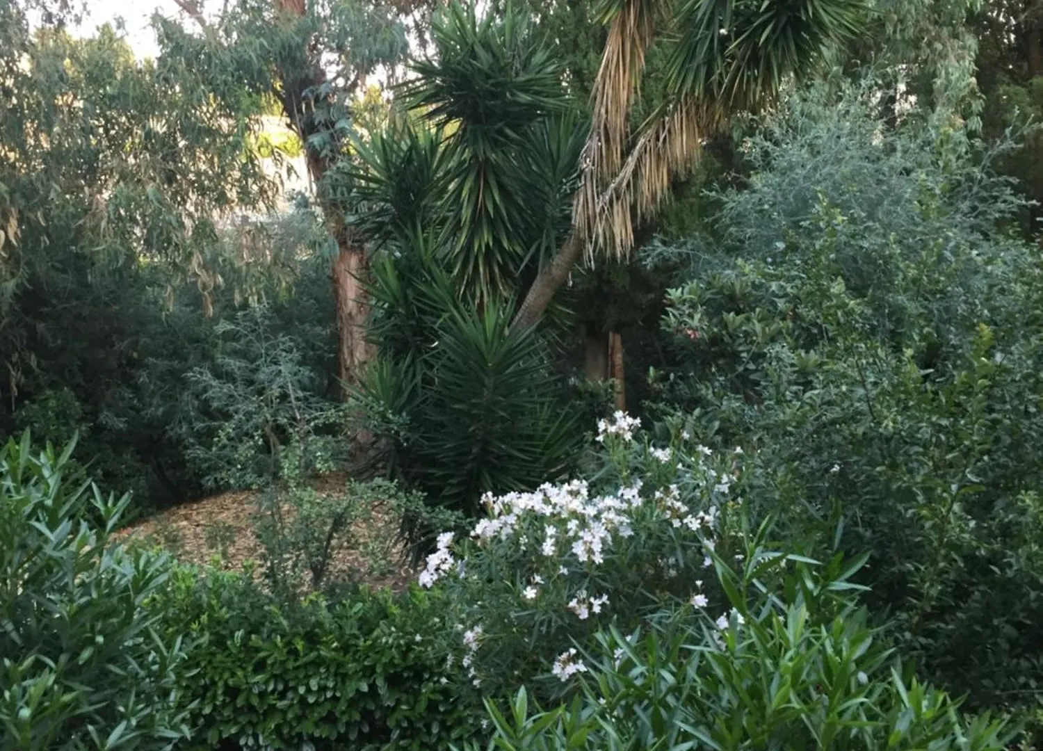 Le Jasmin Du Riou Διαμέρισμα Κάννες